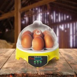 Top 10 ⭐ IDMARKET Couveuse manuelle 7 oeufs incubateur température réglable 👏 9 Top 10 ⭐ IDMARKET Couveuse manuelle 7 oeufs incubateur température réglable 👏 -Bon plan Animalerie 3662897038688 2