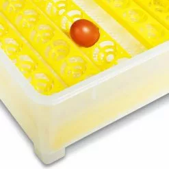 Acheter 👏 IDMARKET Couveuse automatique 112 oeufs incubateur autonome intelligent 🌟 -Bon plan Animalerie 3662897038695 6