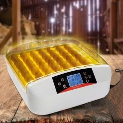 Bon marché 🌟 IDMARKET Couveuse PRO automatique 56 oeufs éclairés incubateur autonome avec LED mire oeufs ⌛ 10 Bon marché 🌟 IDMARKET Couveuse PRO automatique 56 oeufs éclairés incubateur autonome avec LED mire oeufs ⌛ -Bon plan Animalerie 3662897045341 2