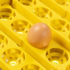 Bon marché 🌟 IDMARKET Couveuse PRO automatique 56 oeufs éclairés incubateur autonome avec LED mire oeufs ⌛ 13 Bon marché 🌟 IDMARKET Couveuse PRO automatique 56 oeufs éclairés incubateur autonome avec LED mire oeufs ⌛ -Bon plan Animalerie 3662897045341 5