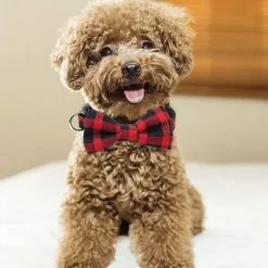 Meilleure affaire 🎁 Totalcadeau Collier de chien avec noeud à motif carreaux déguisement ecossais rouge et noir 😉 7 Meilleure affaire 🎁 Totalcadeau Collier de chien avec noeud à motif carreaux déguisement ecossais rouge et noir 😉 -Bon plan Animalerie 3664996339048 2