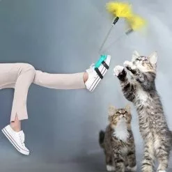 Top 10 💯 Totalcadeau Plumes à agiter jouet pour chat à fixer à une chaussure bleu 🌟 -Bon plan Animalerie 3664996339093 2