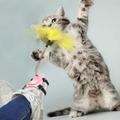Top 10 💯 Totalcadeau Plumes à agiter jouet pour chat à fixer à une chaussure bleu 🌟 -Bon plan Animalerie 3664996339093 4