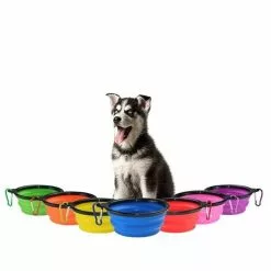 Les meilleures critiques de 💯 Totalcadeau Gamelle rétractable en silicone 1L pour chien avec mousqueton bleu ✨ -Bon plan Animalerie 3664996339109 2