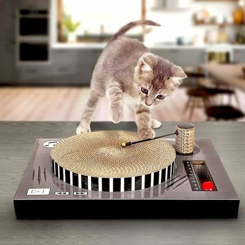 Offres 🔥 Totalcadeau Griffoir Platine de DJ pour chat jeu 🎉 5 Offres 🔥 Totalcadeau Griffoir Platine de DJ pour chat jeu 🎉 – Image 3