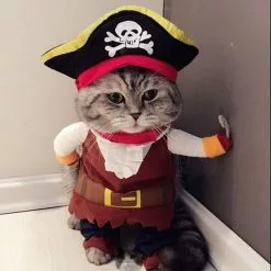 Offres 🔔 Totalcadeau Costume Pirate pour Chat Déguisement avec cape ⭐ -Bon plan Animalerie 3664996378894 3