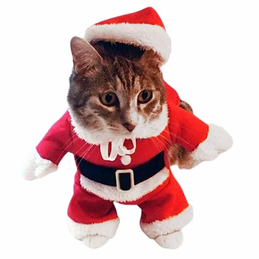 Tout neuf 🎉 Totalcadeau Costume de Noel pour petit chien et chat deguisement vetement animal 😀 3 Tout neuf 🎉 Totalcadeau Costume de Noel pour petit chien et chat deguisement vetement animal 😀