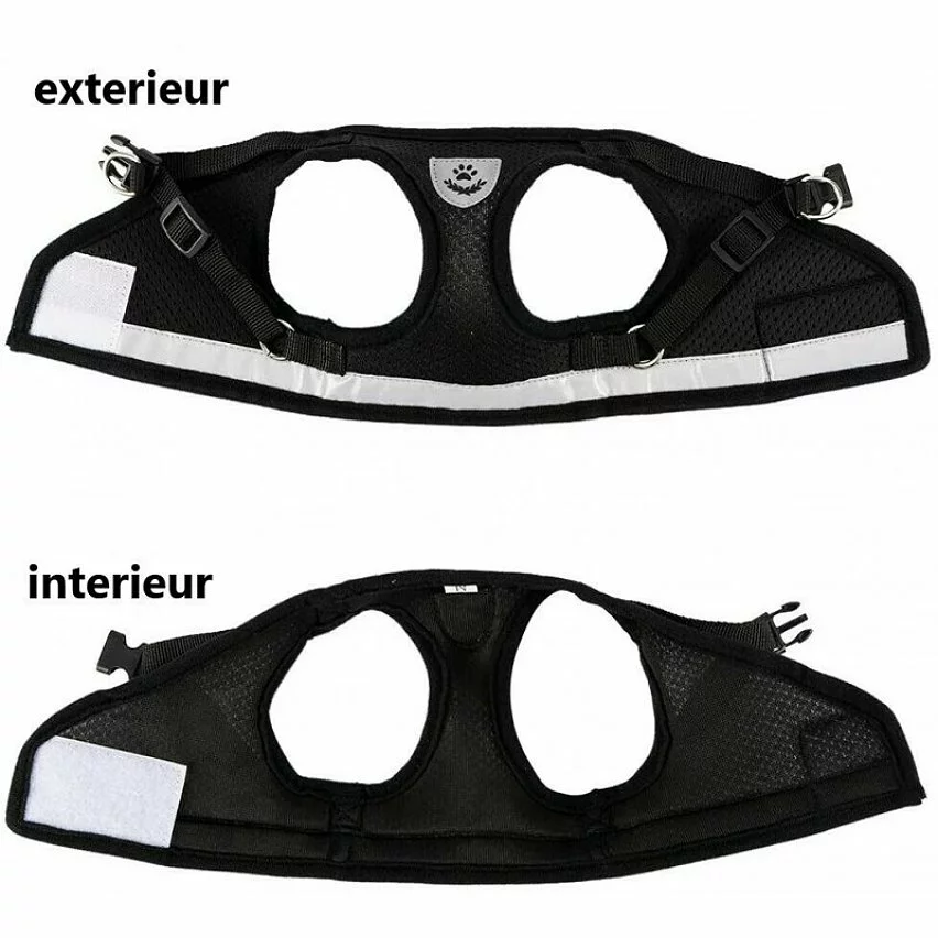 Bon marché 😀 Passionimaux59 Harnais Souple Respirant Réfléchissant + Laisse pour Chien Chiot Chat - Rouge - XS 🔔 5 Bon marché 😀 Passionimaux59 Harnais Souple Respirant Réfléchissant + Laisse pour Chien Chiot Chat - Rouge - XS 🔔 – Image 3