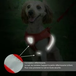 Bon marché 😀 Passionimaux59 Harnais Souple Respirant Réfléchissant + Laisse pour Chien Chiot Chat - Rouge - XS 🔔 10 Bon marché 😀 Passionimaux59 Harnais Souple Respirant Réfléchissant + Laisse pour Chien Chiot Chat - Rouge - XS 🔔 -Bon plan Animalerie 3701491700949 5