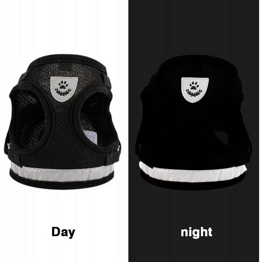 Budget 😉 Passionimaux59 Harnais Souple Respirant Réfléchissant + Laisse pour Chien Chiot Chat - Noir - XS 🔔 7 Budget 😉 Passionimaux59 Harnais Souple Respirant Réfléchissant + Laisse pour Chien Chiot Chat - Noir - XS 🔔 – Image 5