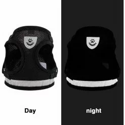 Acheter 💯 Passionimaux59 Harnais Souple Respirant Réfléchissant + Laisse pour Chien Chiot Chat - Gris - XL 🎁 5 Acheter 💯 Passionimaux59 Harnais Souple Respirant Réfléchissant + Laisse pour Chien Chiot Chat - Gris - XL 🎁 -Bon plan Animalerie 3701491700963 5 1