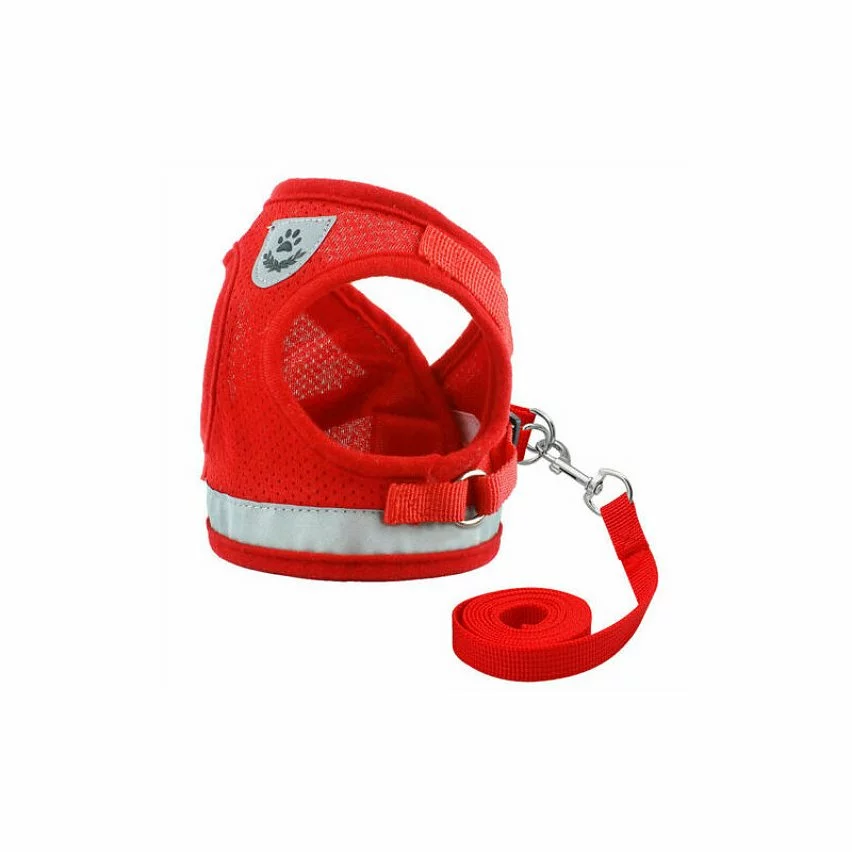 Bon marché 😀 Passionimaux59 Harnais Souple Respirant Réfléchissant + Laisse pour Chien Chiot Chat - Rouge - XS 🔔 4 Bon marché 😀 Passionimaux59 Harnais Souple Respirant Réfléchissant + Laisse pour Chien Chiot Chat - Rouge - XS 🔔 – Image 2