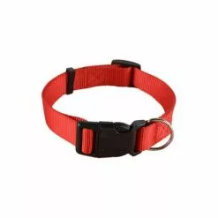 Bon marché 👏 Passionimaux59 Collier Nylon pour Chien Chat Chiot Réglable - Rouge - S 😉 -Bon plan Animalerie 3701491702677 1