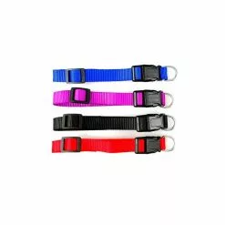 Offres 😉 Passionimaux59 Collier Nylon pour Chien Chat Chiot Réglable - Bleu/ bleu foncé - XL 👍 5 Offres 😉 Passionimaux59 Collier Nylon pour Chien Chat Chiot Réglable - Bleu/ bleu foncé - XL 👍 -Bon plan Animalerie 3701491702714 1