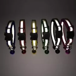 Offres 😀 Passionimaux59 Collier Nylon Réfléchissant Anti Étranglement Pour Chat Chaton avec Grelot - Bleu Clair ⭐ -Bon plan Animalerie 3701491702790 5