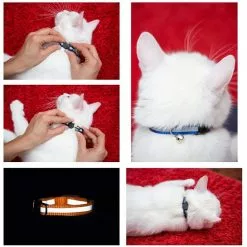 De gros 👏 Passionimaux59 Collier Nylon Réfléchissant Anti Étranglement Pour Chat Chaton avec Grelot - Bleu Turquoise 🧨 -Bon plan Animalerie 3701491702820 3 8