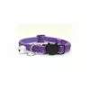 Coupon ⭐ Passionimaux59 Collier Nylon Anti-étranglement Brillant avec Grelot pour Chats, chatons - Violet 🧨 -Bon plan Animalerie 3701491703049 1