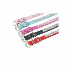 Nouveau ✔️ Passionimaux59 Collier Cuir Strass Diamant Chien Chat 👗 Dressage Réglable Ajustable - Noir - M 😀 -Bon plan Animalerie 3701491703681 4