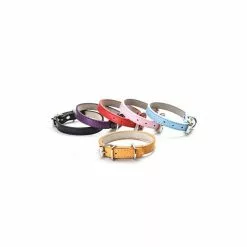 Remise 🎉 Passionimaux59 Collier Pour Chien Chiot Chat Cuir PU Réglable - Bleu/ bleu foncé - L ✨ -Bon plan Animalerie 3701491703933 5 21