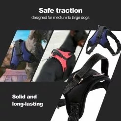 Offres 🎁 Passionimaux59 Harnais Rembourré Réglable Souple Respirant Pour Chien Promenade - Noir - XS 😀 11 Offres 🎁 Passionimaux59 Harnais Rembourré Réglable Souple Respirant Pour Chien Promenade - Noir - XS 😀 -Bon plan Animalerie 3701491704121 3 1