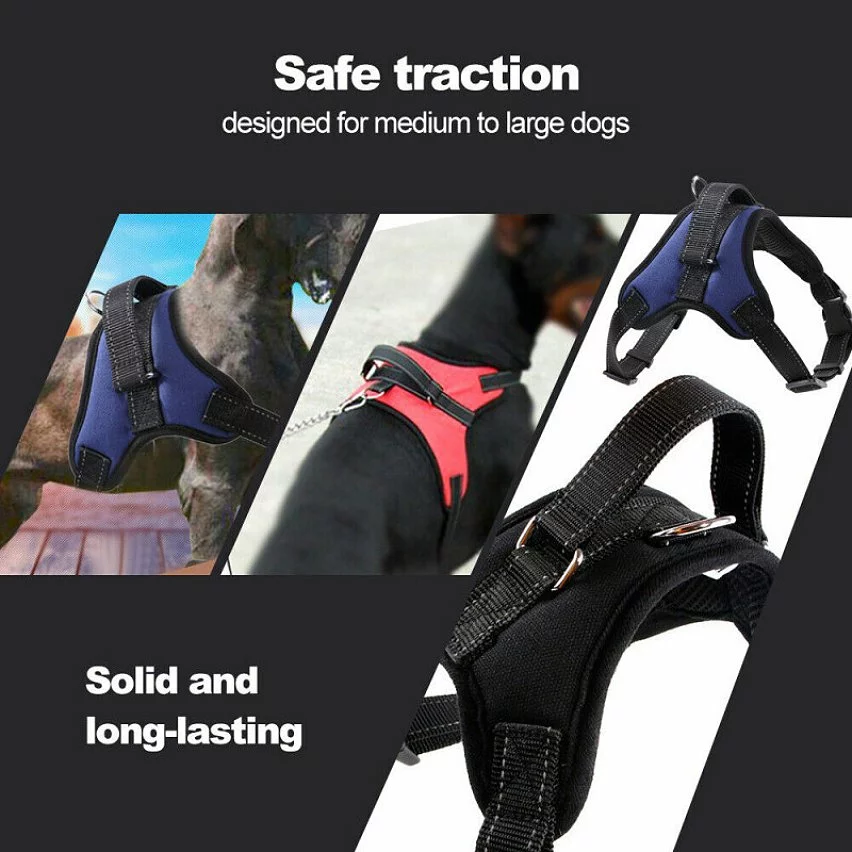 Offres 🎁 Passionimaux59 Harnais Rembourré Réglable Souple Respirant Pour Chien Promenade - Noir - XS 😀 5 Offres 🎁 Passionimaux59 Harnais Rembourré Réglable Souple Respirant Pour Chien Promenade - Noir - XS 😀 – Image 3