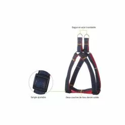 Coupon 🌟 Passionimaux59 Lot de 3 Pièces Harnais Laisse Collier 👖 Jeans Chien Chat Chiot Promenade - Rouge - M ❤️ -Bon plan Animalerie 3701491704435 5 4