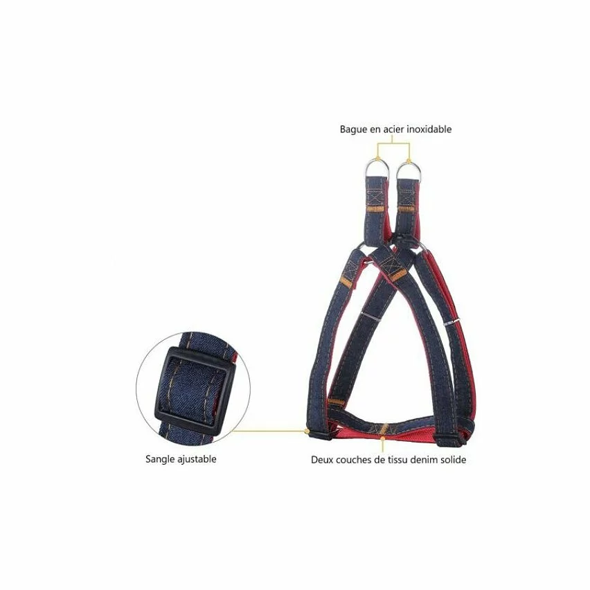 Promo ✔️ Passionimaux59 Lot de 3 Pièces Harnais Laisse Collier 👖 Jeans Chien Chat Chiot Promenade - Noir - XL ✨ 4 Promo ✔️ Passionimaux59 Lot de 3 Pièces Harnais Laisse Collier 👖 Jeans Chien Chat Chiot Promenade - Noir - XL ✨ – Image 2