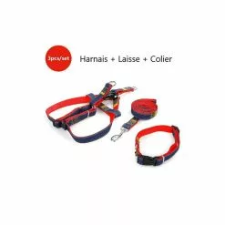 Coupon 🌟 Passionimaux59 Lot de 3 Pièces Harnais Laisse Collier 👖 Jeans Chien Chat Chiot Promenade - Rouge - M ❤️ -Bon plan Animalerie 3701491704510 3 1
