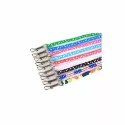 Budget 🔔 Passionimaux59 Lot de Harnais et Laisse pour petit Chien Chiot Chat Promenade Sortie - Bleu/ bleu foncé ⭐ -Bon plan Animalerie 3701491704565 3