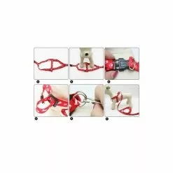 Promo 🤩 Passionimaux59 Lot de Harnais et Laisse pour petit Chien Chiot Chat Promenade Sortie - Violet 😀 -Bon plan Animalerie 3701491704602 4