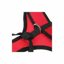 Remise ⌛ Passionimaux59 Harnais Souple Respirant pour Chien Chiot et Chat - Bleu Foncé - XL 🔥 5 Remise ⌛ Passionimaux59 Harnais Souple Respirant pour Chien Chiot et Chat - Bleu Foncé - XL 🔥 -Bon plan Animalerie 3701491704725 7