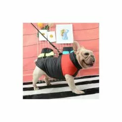 Tout neuf 😍 Passionimaux59 Manteau Doudoune Matelassé Imperméable Pour Chien Chat Hiver - Bleu/ bleu foncé - XL 💯 -Bon plan Animalerie 3701491706255 3 13