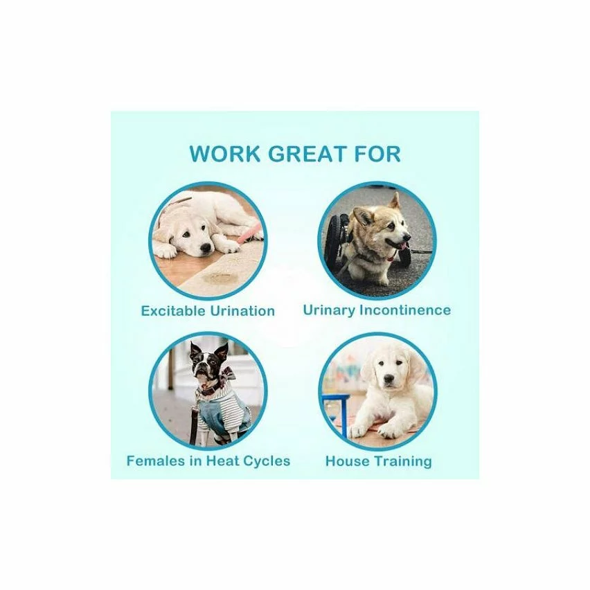 Top 10 👍 Passionimaux59 Couche-Culotte Bandes Hygiénique Pour Chien Réglable Lavable Réutilisable - Noir - M 🔔 4 Top 10 👍 Passionimaux59 Couche-Culotte Bandes Hygiénique Pour Chien Réglable Lavable Réutilisable - Noir - M 🔔 – Image 2