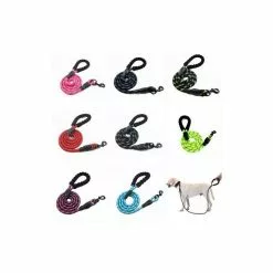 Offres ✔️ Passionimaux59 Laisse Chien Corde Nylon Solide Poignée Rembourrée Réfléchissante Sortie - Noir 🔔