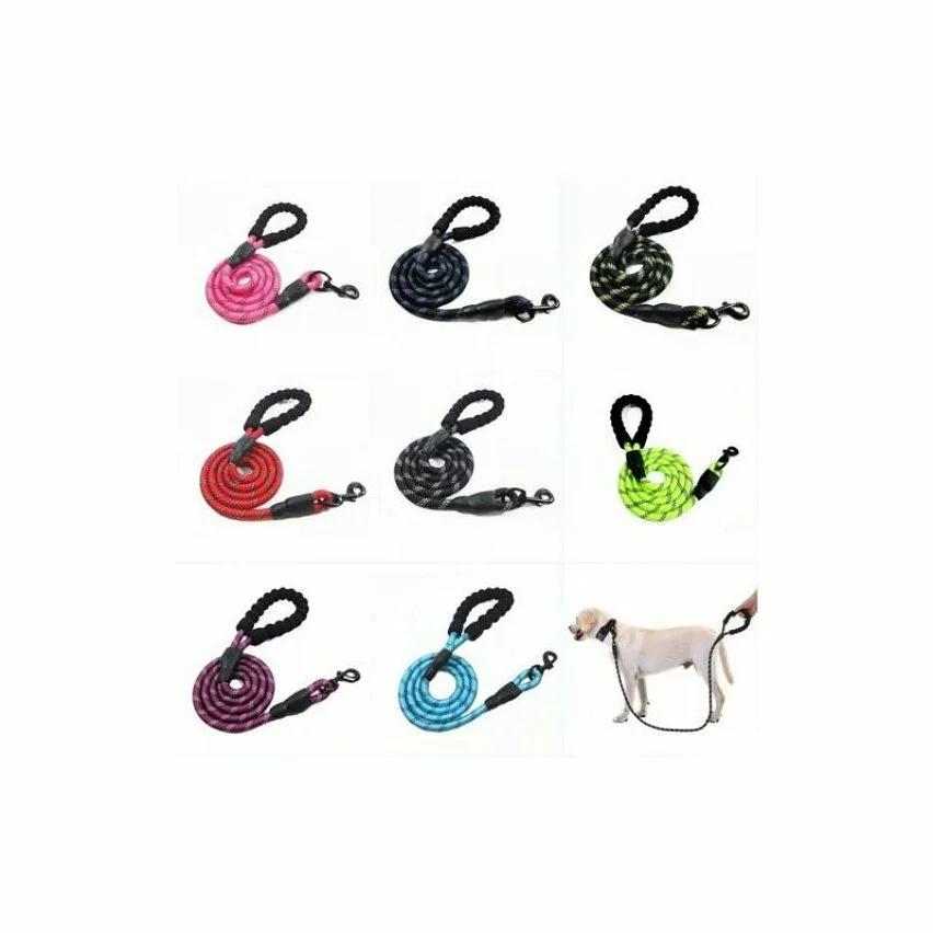 Meilleur prix 🎉 Passionimaux59 Laisse Chien Corde Nylon Solide Poignée Rembourrée Réfléchissante Sortie - Bleu Foncé ✔️ 3 Meilleur prix 🎉 Passionimaux59 Laisse Chien Corde Nylon Solide Poignée Rembourrée Réfléchissante Sortie - Bleu Foncé ✔️