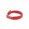 De gros 🛒 Passionimaux59 Collier Nylon Pour Chien Réglable Avec Protection Cuir PU - Rouge - M 🧨 1 De gros 🛒 Passionimaux59 Collier Nylon Pour Chien Réglable Avec Protection Cuir PU - Rouge - M 🧨 -Bon plan Animalerie 3701491709423 1