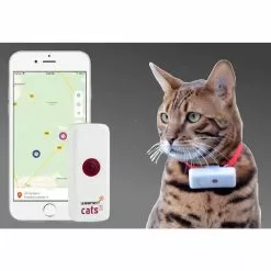 Bon marché 😍 Traceur GPS pour Chat Weenect 😉 -Bon plan Animalerie 3770000300109 2