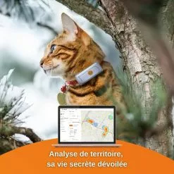 Bon marché 😍 Traceur GPS pour Chat Weenect 😉 -Bon plan Animalerie 3770000300109 7