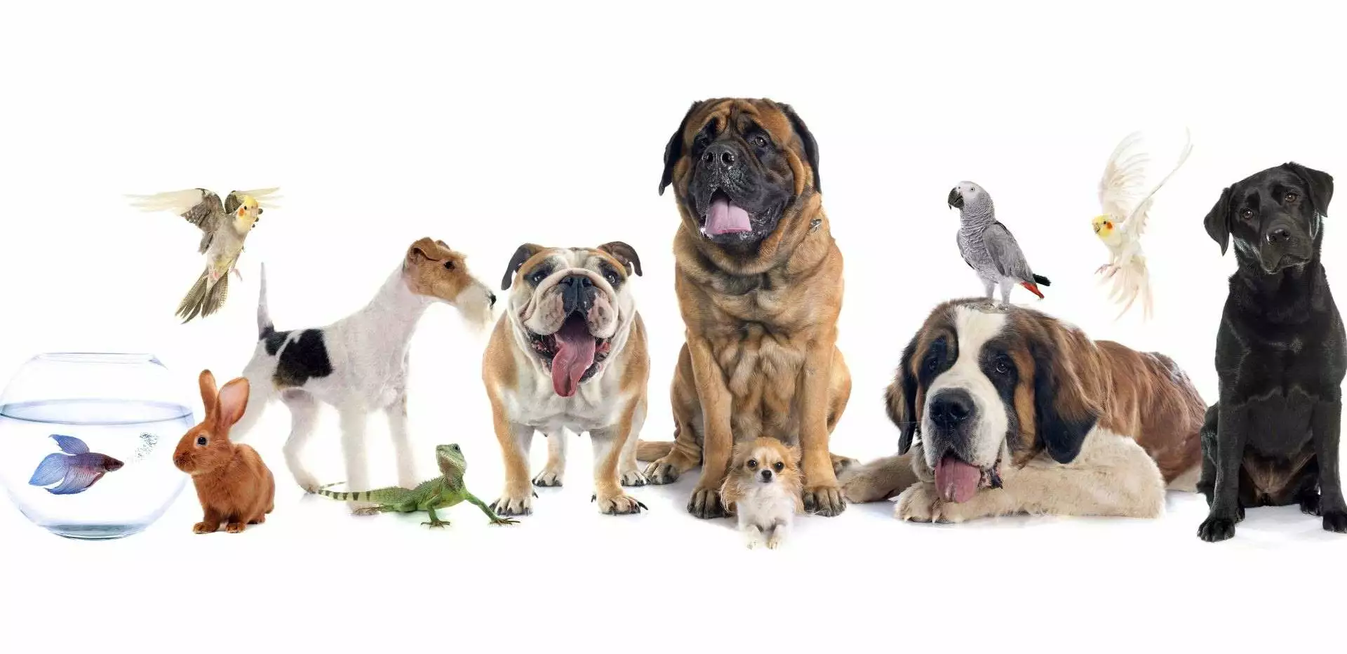 Bon plan Animalerie -Bon plan Animalerie 5456